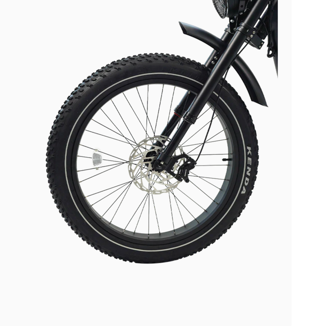 REVI Cheetah Pro Fat Tire Electric Bike BONUS - Image 4
